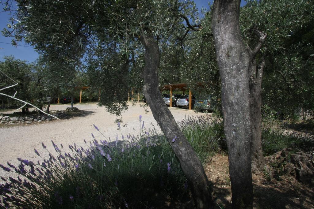 Le Madaleno Hotel Fontvieille